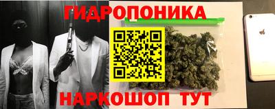ешки Будённовск