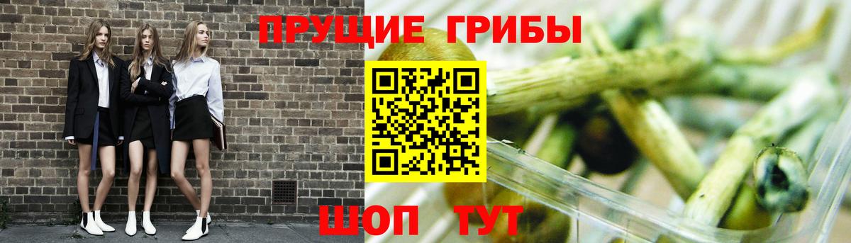 Псилоцибиновые грибы прущие грибы  Галлюциногенные грибы Psilocybine cubensis  Мирный  Вход с VPN 